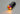 Acetech Blaster Tracer, Sort Acetech