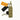 Conquer Enkelt Pistol Lomme Conquer Tactical