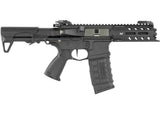 G&G ARP556 V2S G&G Armament