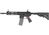G&G CM16 Raider 2.0, Sort G&G Armament