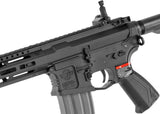 G&G CM16 Raider 2.0, Sort G&G Armament