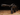 Steyr AUG A2 Action Sport Games