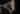 Wolverine MTW Daniel Defense MK18 XB Wolverine Airsoft